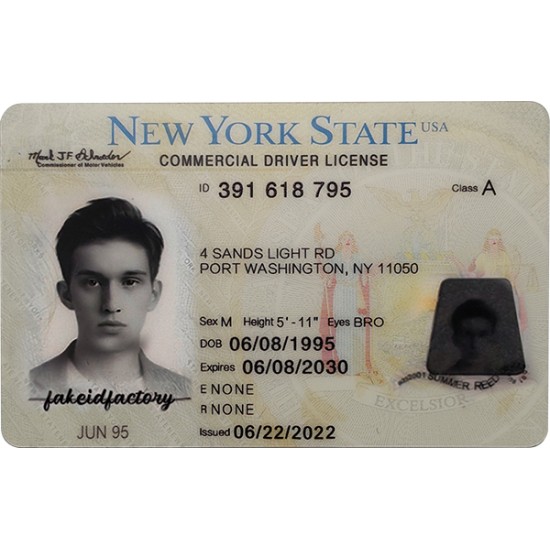Fake New York CDL