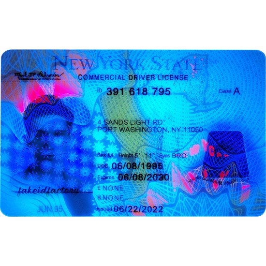Fake New York CDL