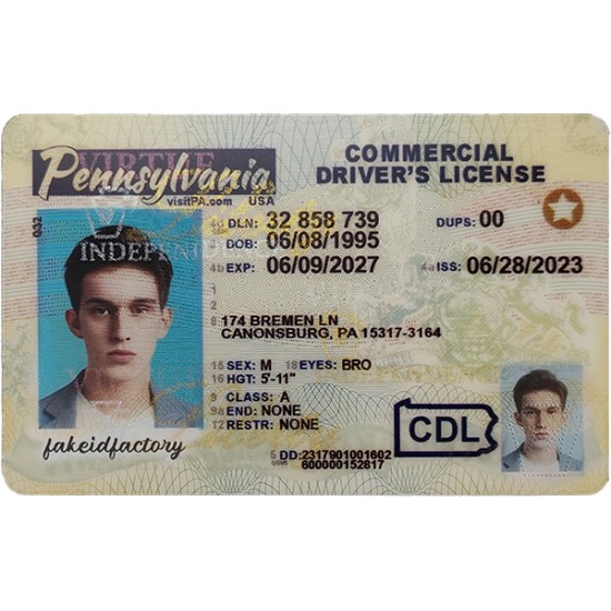 Fake Pennsylvania CDL
