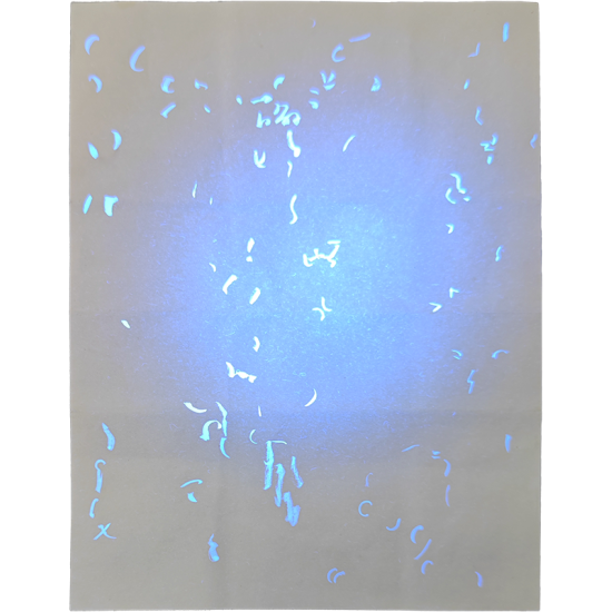 US IOWA Birth Certificate