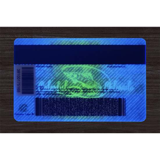 COLORADO FAKE DRIVER LICENSE