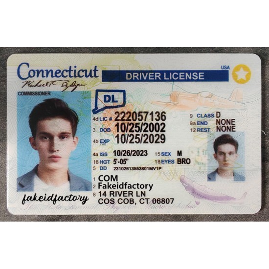 Connecticut drivers license,DL