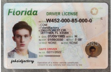 Florida Fake Driver License