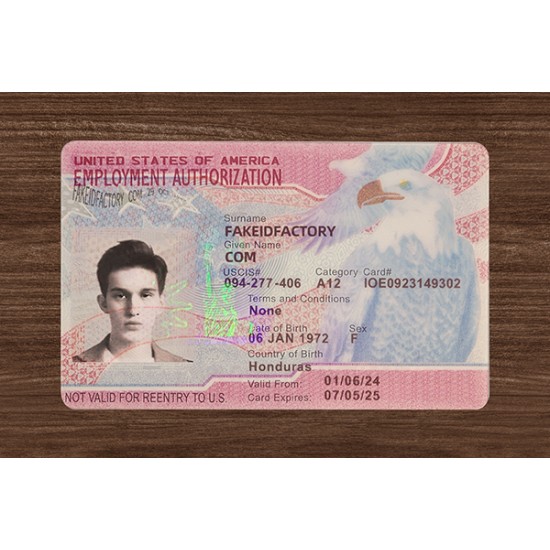 Employment Authorization Card,ead card
