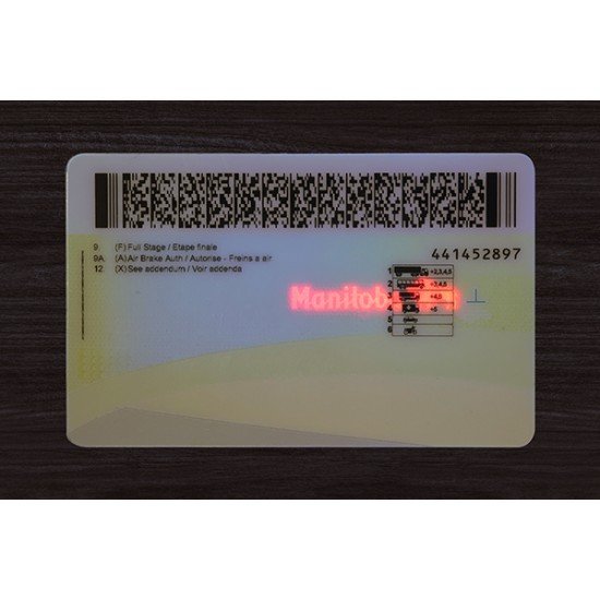 MANITOBA FAKE ID (2026 Version)