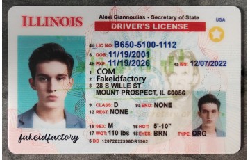 Illinois Fake License