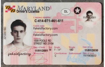 Maryland False ID