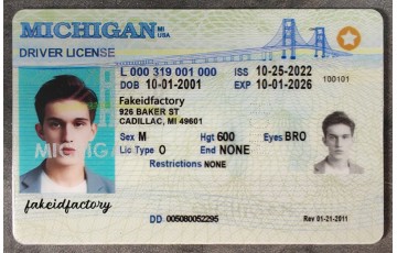 Michigan Fake ID