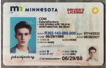 Minnesota Fake ID