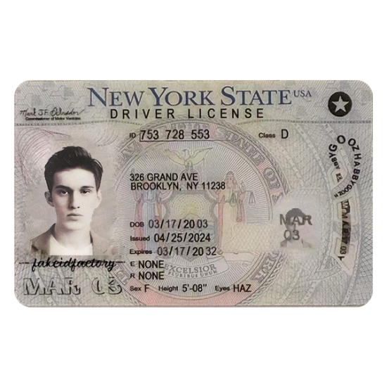 New York Fake ID (2025 Version)