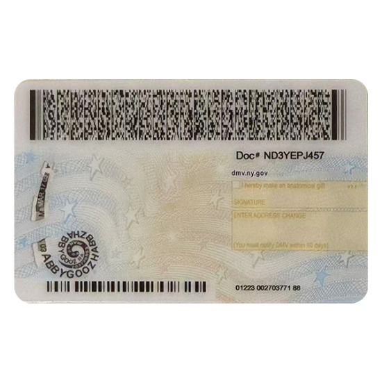 New York Fake ID (2025 Version)
