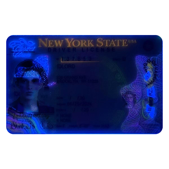 New York Fake ID (2025 Version)