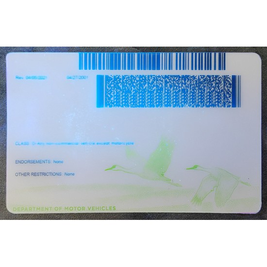 fake nebraska id,fake ids for sale