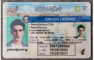 Nevada Fake ID