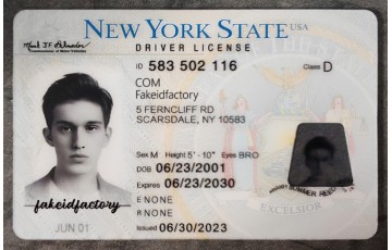 New York Fake ID