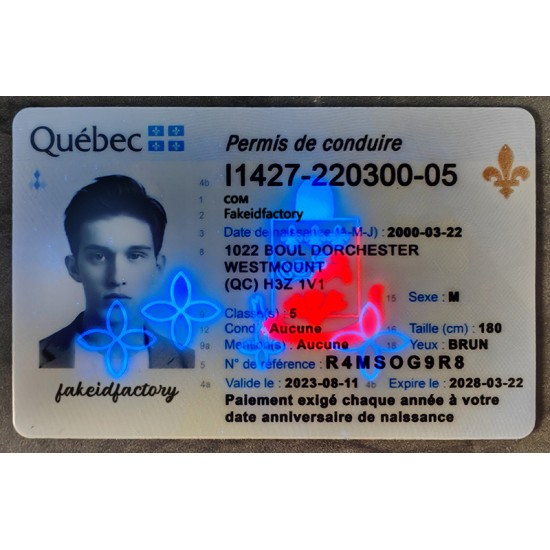 quebec id,fake real id