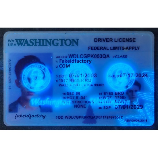 washington fake ids,driver's license